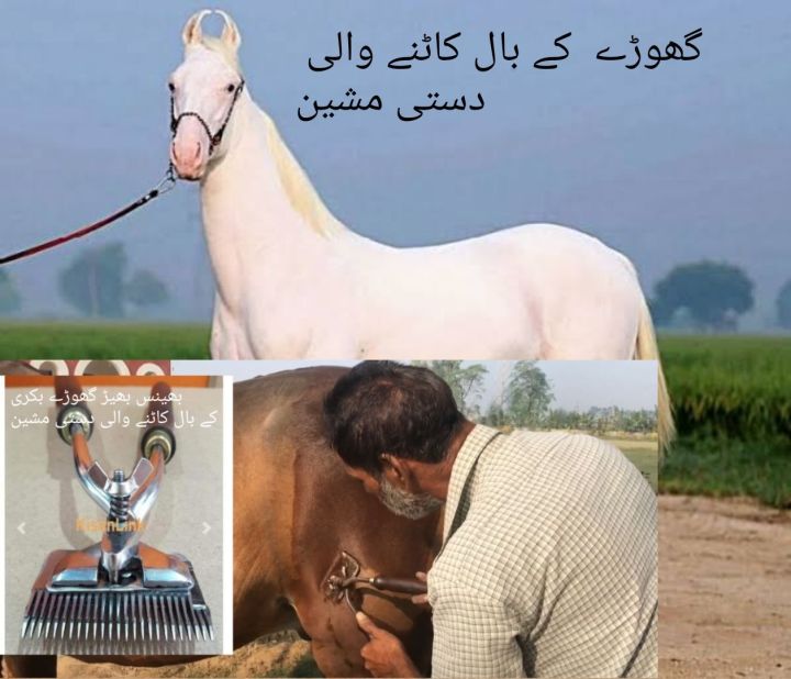 Horse clipper