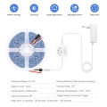 5M 10M PIR Motion Sensor LED Ceiling Light Strip 24V WS2811 Pixels Addressable Chasing Tape For Room Corridor Entrance Door Lamp. 