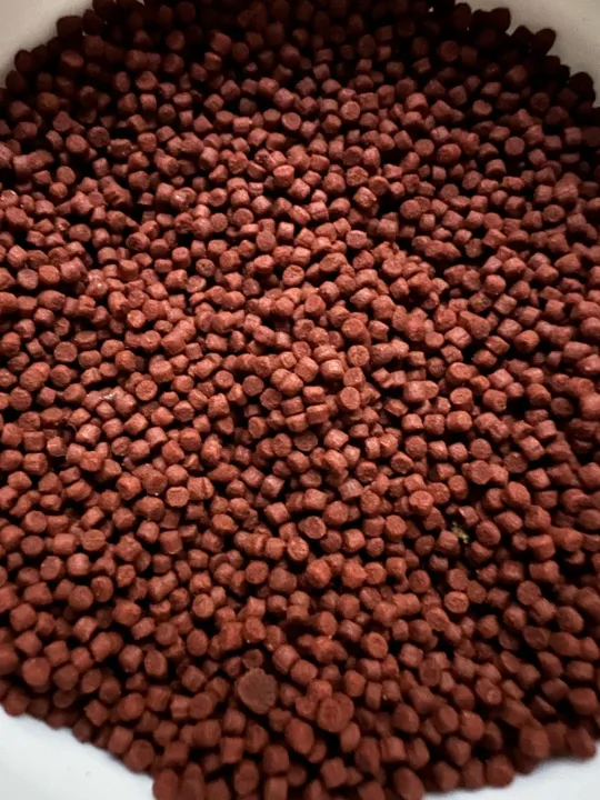 Red%20pellets%20for%20high%20protein%20pellets%20500g%20-%20Image%207