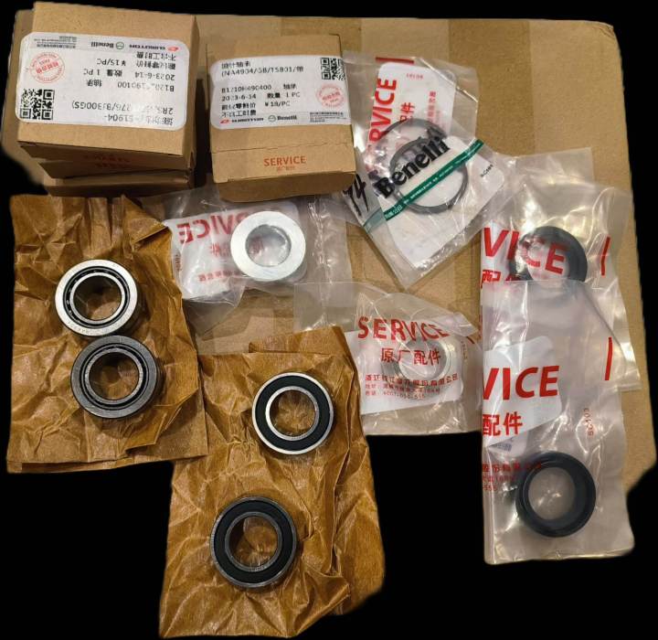 Benelli tnt300 rear swingarm repair kit Benelli tnt300