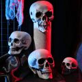 Plastic Skull Head  All Size Realistic Skull Skeleton Head for Halloween Party Home Garden Lawn Decor Haunted House Horror Props. 