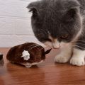 Pet Interactive Cat Toy Mouse Moving Automatic Cat Toys Mice With Spring Wheels For Kitten Indoor Outdoor Exercise Play. 