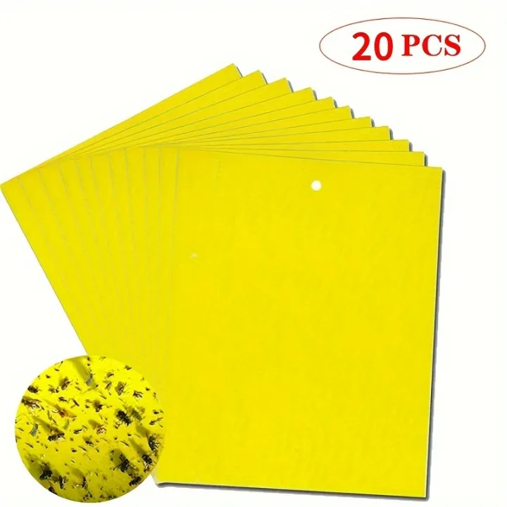 20pcs%20Strong%20Fruit%20Fly%20Traps%20Bugs%20Yellow%20Sticky%20Board%20Pest%20Control%20Insect%20Killer%20Two-sided%20Glue%20Paper%20Trap%20For%20Kill%20Pests%20-%20Image%207