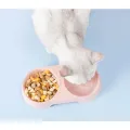 Double Pet Bowls Cat Food Water Feeder. 