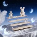 Wooden Step Display Rack, Acrylic Handmade Display Rack, Desktop Storage Rack for Perfume Lipstick Jewelry Doll Home Organizer. 
