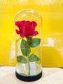 Rose flower in glass tube gift anversiry gift. 