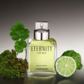 Eternity Eau De Toilette Perfume For Men - 100 ml ( Impression). 