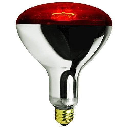 Infrared Heat Lamp Bulb, Red