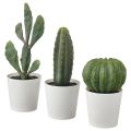 IKEA Artificial potted plant w pot, set of 3, cactus, 6 cm. 