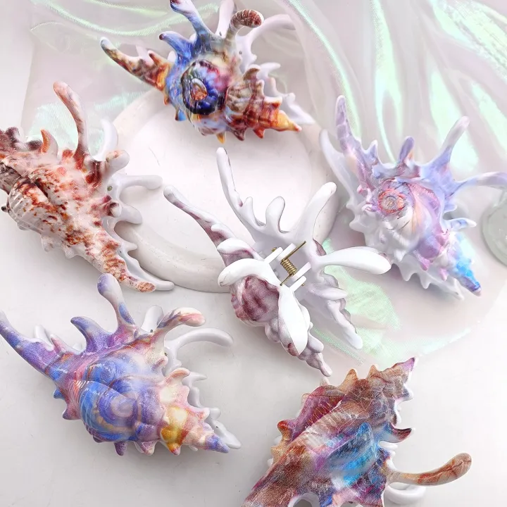 High%20Quality%20Plastic%20Wave%20Crab%20Claw%20Clips%20conch%20ocean%20design%20Shark%20Hair%20Clips%20Geometry%20High%20Ponytail%20Barrette%20Hairpin%20-%20Image%203
