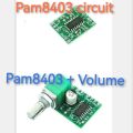 Pam8403 Dc 5V Class D Mini Digital Audio Amplifier Board Module Green. PAM8403 with knob 3W+3W DUAL CHANNEL MINI DIGITAL STEREO POWER AMPLIFIER BOARD. SELECT YOUR CHOICE. 