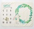 Baby Monthly Milestone Blanket For Newborn Boy & Girl  1 to 12 Month Soft Photography Background Prop Baby Shower Gift. 