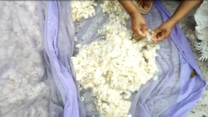 100%25%20Original%20Shimul%20Tula%20Without%20Seed%20(2%20KG)%20-%20Image%202