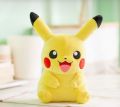 pichachu( large stuff toy). 