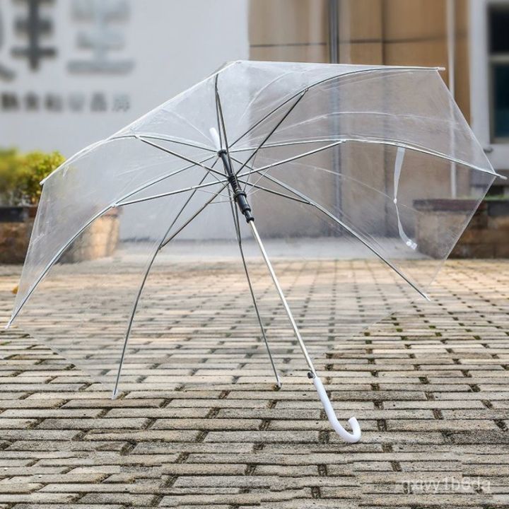Japanese%20Transparent%20Umbrella%20-%20Image%202