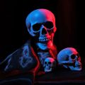 Plastic Skull Head  All Size Realistic Skull Skeleton Head for Halloween Party Home Garden Lawn Decor Haunted House Horror Props. 