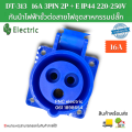 Dt-313 Power Plug 16A 3Pin 2P + E Ip44 220-250V Waterproof Electrical Industrial Wire Connector Plug Products Ready for Delivery. 