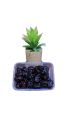 Ajwa Dates,250grm,Ajwa Khajoor,عجوہ کھجور نقشبندیہ,. 