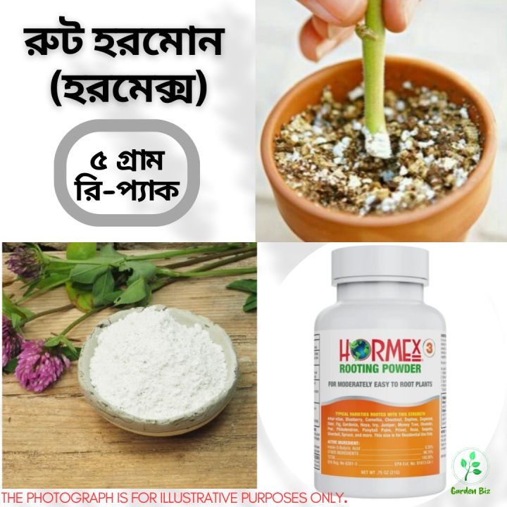 Root Hormone- Hormex- (5 Grams Repack)