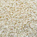 Sesame White Seed। সাদা তিল -100gm. 
