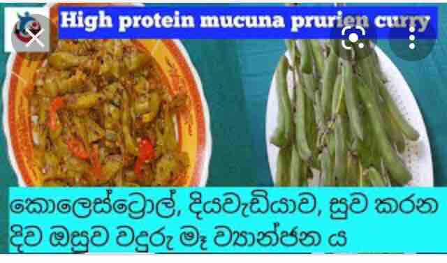 %E0%B7%80%E0%B6%AF%E0%B7%94%E0%B6%BB%E0%B7%94%20%E0%B6%B8%E0%B7%91%20Waduru%20mee%20seeds.%2010g%20for%20beautiful%20home%20garden.%20-%20Image%204