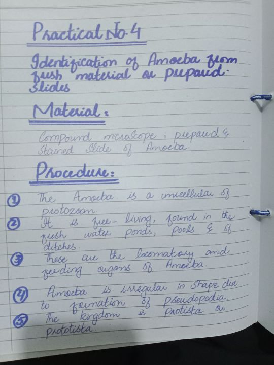 Practical%20Notebook%20Biology%20class%2011,12%20(%20Fully%20Solved,%20unchecked%20)%202025%20Edition%20-%20Image%205