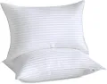 HOTEL GREAT PILLOWS. 