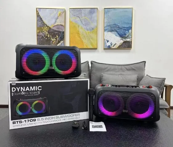 DYNAMIC%20BRODU%20BTS%201709%20PARTYBOX%20-%20Image%203