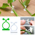 Plant Climbing Wall Self-Adhesive Fixed Buckle Hook Fastener Tied Fixture Vine Buckle Hook Garden Plant Wall Climbing Vine Clips. 