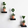 5"×5" Small floating wall shelves Wall Mount Shelves Book Shelf Decorative Shelves Storage Display Rack Storage shelves Wall hanging shelf Wall decoration shelf set of 3. 