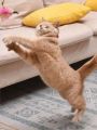 Interactive Cat Collar Teaser - Self-Play Hands-Free Toy for Indoor Cats, Fun & Exercise (Neck Design).