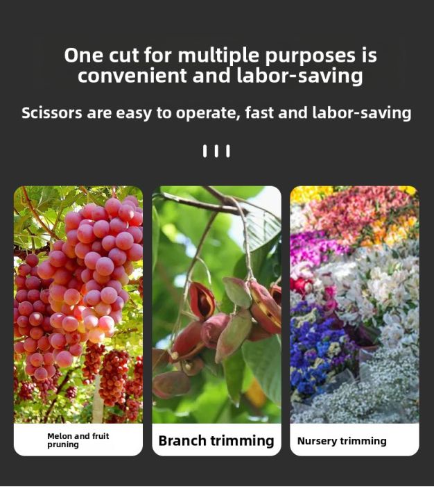 190mm%20Straight%20Head%20Pruning%20Shears%20Non-slip%20HandleStainless%20Steel%20Outils%20Manuels%20Household%20Bonsai%20Garden%20Scissors%20Pruing%20Shear%20-%20Image%206