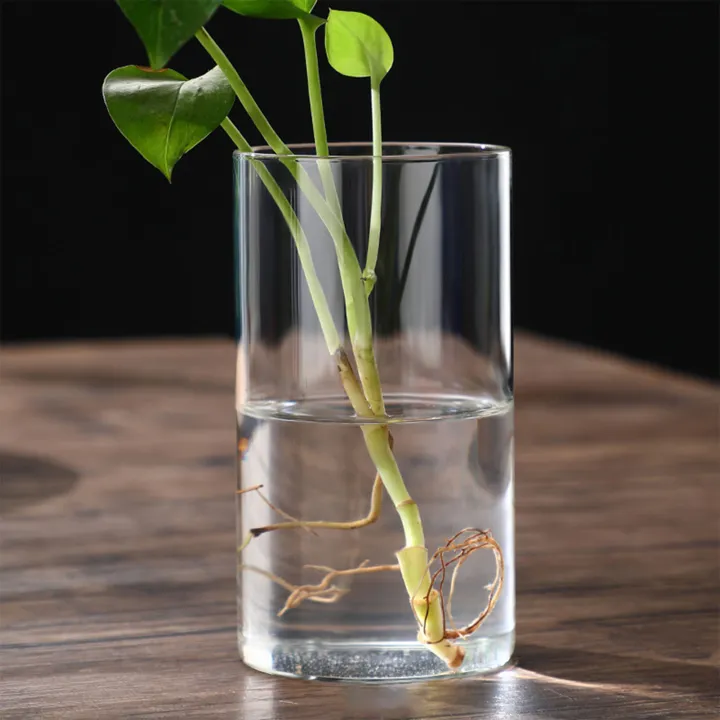 Transparent%20Glass%20Hydroponic%20Vase%20Minimalist%20Glass%20Vase%20Cylinder%20Flower%20Vase%20for%20Wedding%20Living%20Room%20Decorative%20Gift%20-%20Image%205