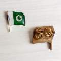 Pakistan flag badges superior quality approve pakistan Army. 