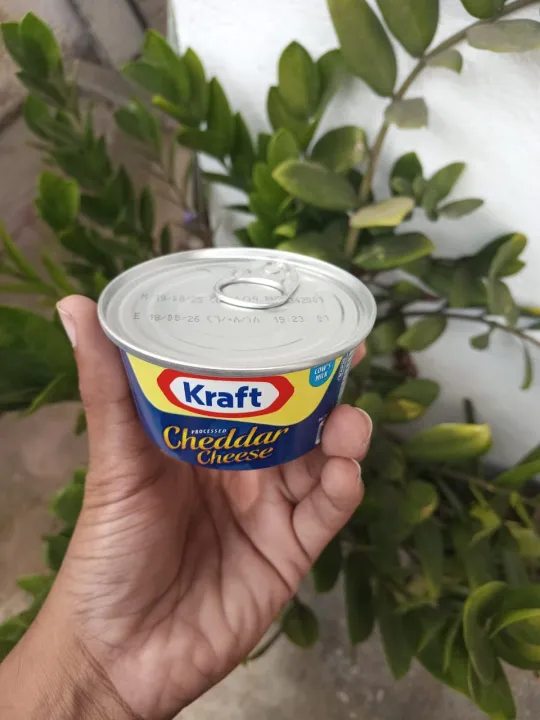 Kraft%20cheddar%20cheese%20%E2%80%93%20100g%20,%20190g%20COW'S%20MILK%20-%20Image%203