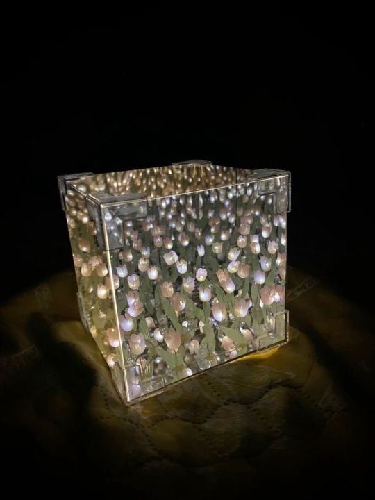 Infinity%20Cube%20Tulip%20Lamp%20-%20Image%208