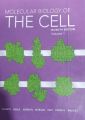Molecular Biology Of The Cell. 