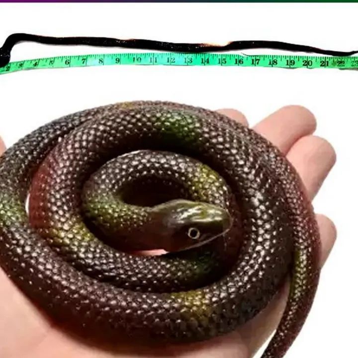Rubber Soft Animal Fake_Snakes For Kids Toys Size 20 Inch | Daraz.pk