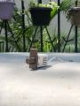 China fitting Fan dimmer. 