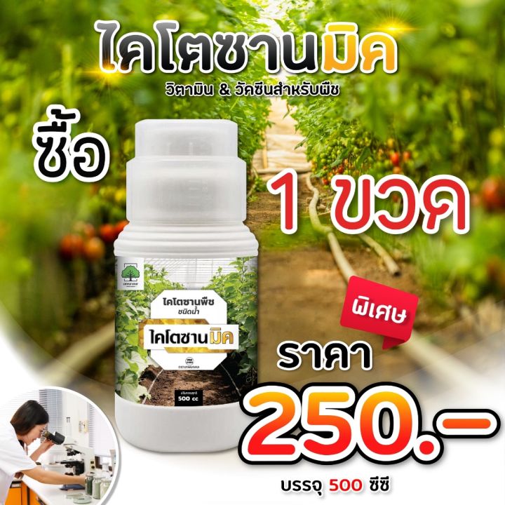 (1 bottle) chitosan, chitosan, chitosan, plant formula, enhanced immunity, plant disease, fungus, virus, bacteria, plant Formula 500 cc.