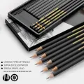 Professional Drawing Sketching Pencil Set, 12 Pieces Art Pencils Graphite Shading Pencils for Beginners & Pro Artists. 