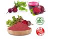 Organic beetroot powder pack of 50 gram chakundar ka powder. 