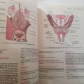 CLINICAL ANATOMY AN ILLUSTRATED REVIEW WITH QUESTIONS AND EXPLANATIONS 10TH EDITION BY RICHARD S.SNELL. 