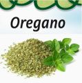 ORIGINAL ORIGANO. 