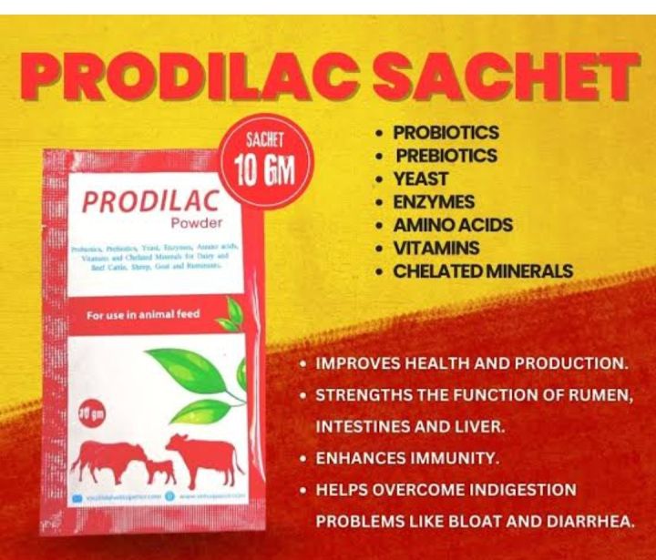 pets%20supplement,%20prodilac,%20dairy%20supplement%20-%20Image%203