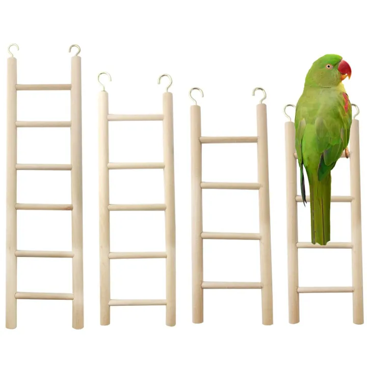 Bird%20Toys%20%20Ladder%20-%20Image%203