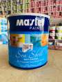 Master paint matt enamel gallon black colour. 
