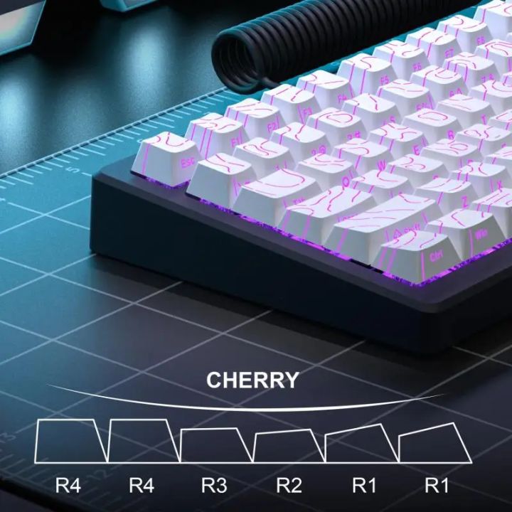 2027%20Topographic%20Keycaps%204.0%20Version%20Shine%20Through%2098%20Key%20PBT%20Cherry%20Profile%20Side%20Print%20Backlit%20for%20MX%20Gamer%20Mechanical%20Keyboard%20-%20Image%205