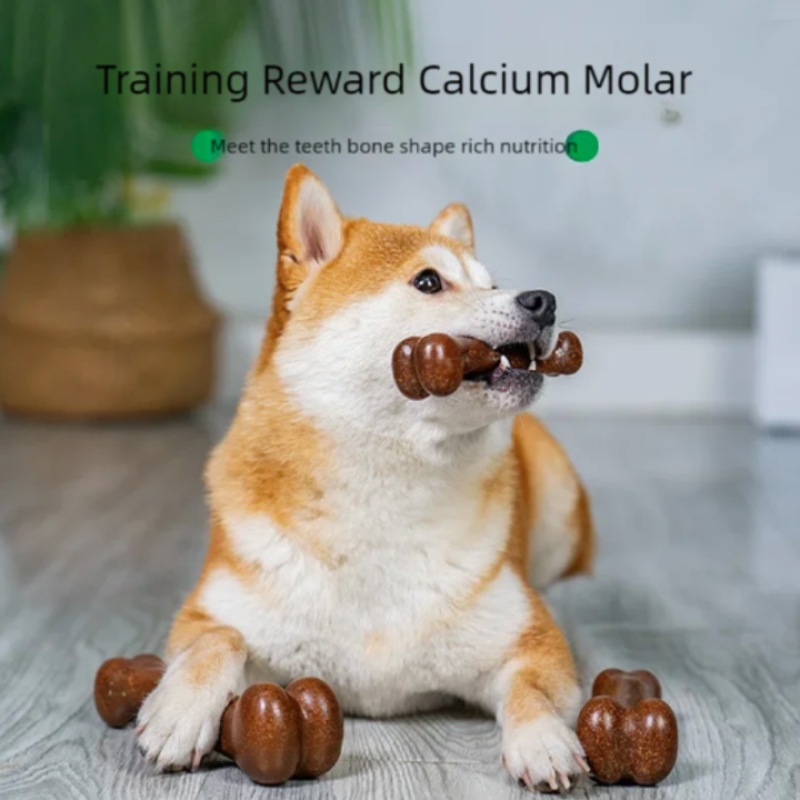 Natural%20Non-Toxic%20Dog%20Bone%20Chew%20Toy%20Nearly%20Indestructible%20Anti-Bite%20Puppy%20Chew%20Toy%20for%20Small%20Medium%20Large%20Dogs%20Pet%20Chew%20Toy%20-%20Image%202