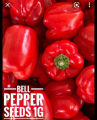 Bell peper/ බෙල් පෙපර්. 